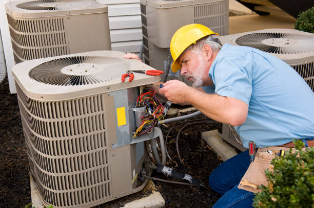 Best HVAC air duct cleaning  in Dunnavant, AL